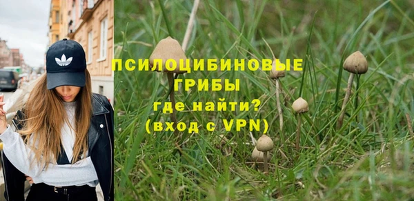 гидра Семикаракорск
