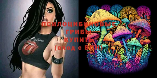 спайс Верея