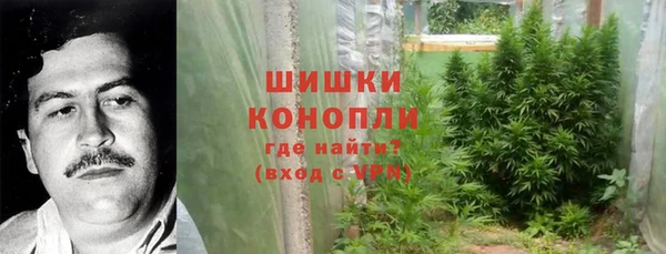 стаф Верхний Тагил